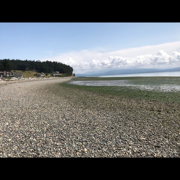 Meet your Posher, Shawn - Picture 5 of 7